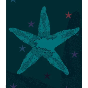Affiche Étoile de mer