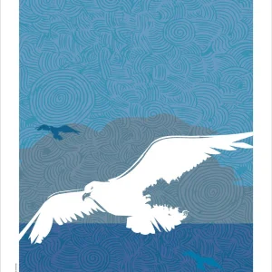 Affiche Goéland breton