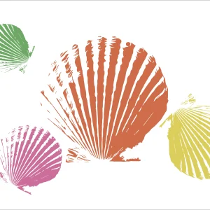 Affiche Cocquilles Saint-Jacques