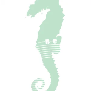 Affiche Hippocampe Vert d'eau