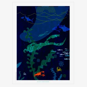 Affiche Surf Collector N°30