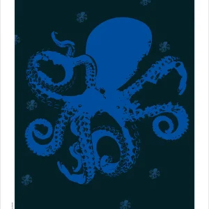 Affiche Pieuvre bretonne