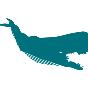 Affiche Cachalot Bleu