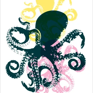 Affiche Pieuvre Multi-color